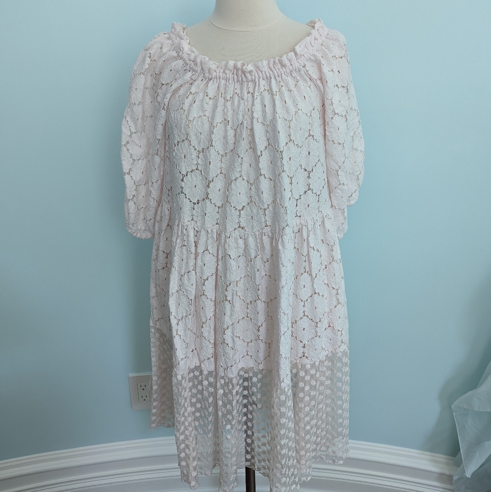 Anthropologie Rhum Raisin M/L NWOT